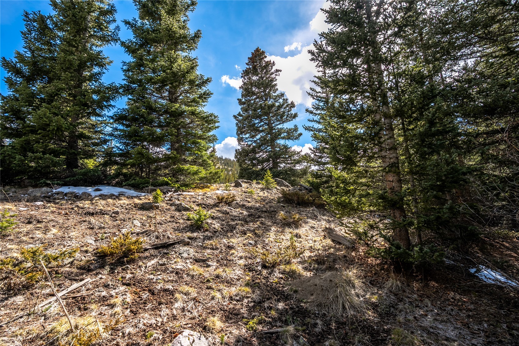 199 Zinc Road Alma CO 80440