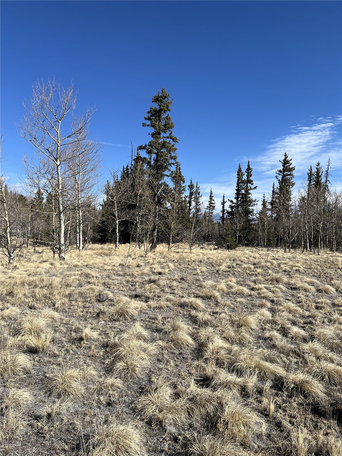 27 Warpath Road Como CO 80432