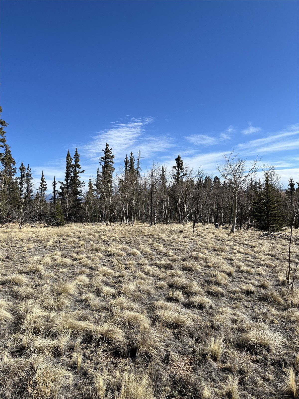 27 Warpath Road Como CO 80432