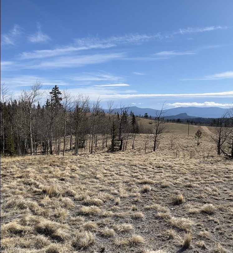 27 Warpath Road Como CO 80432