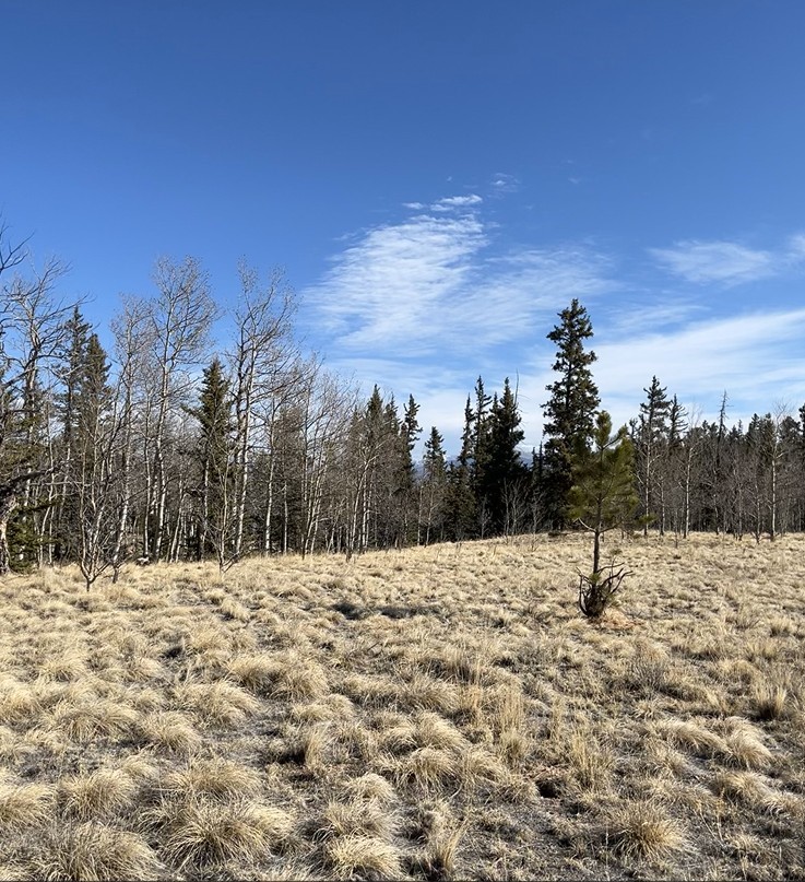 27 Warpath Road Como CO 80432