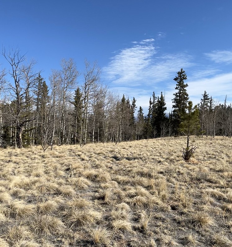 27 Warpath Road Como CO 80432