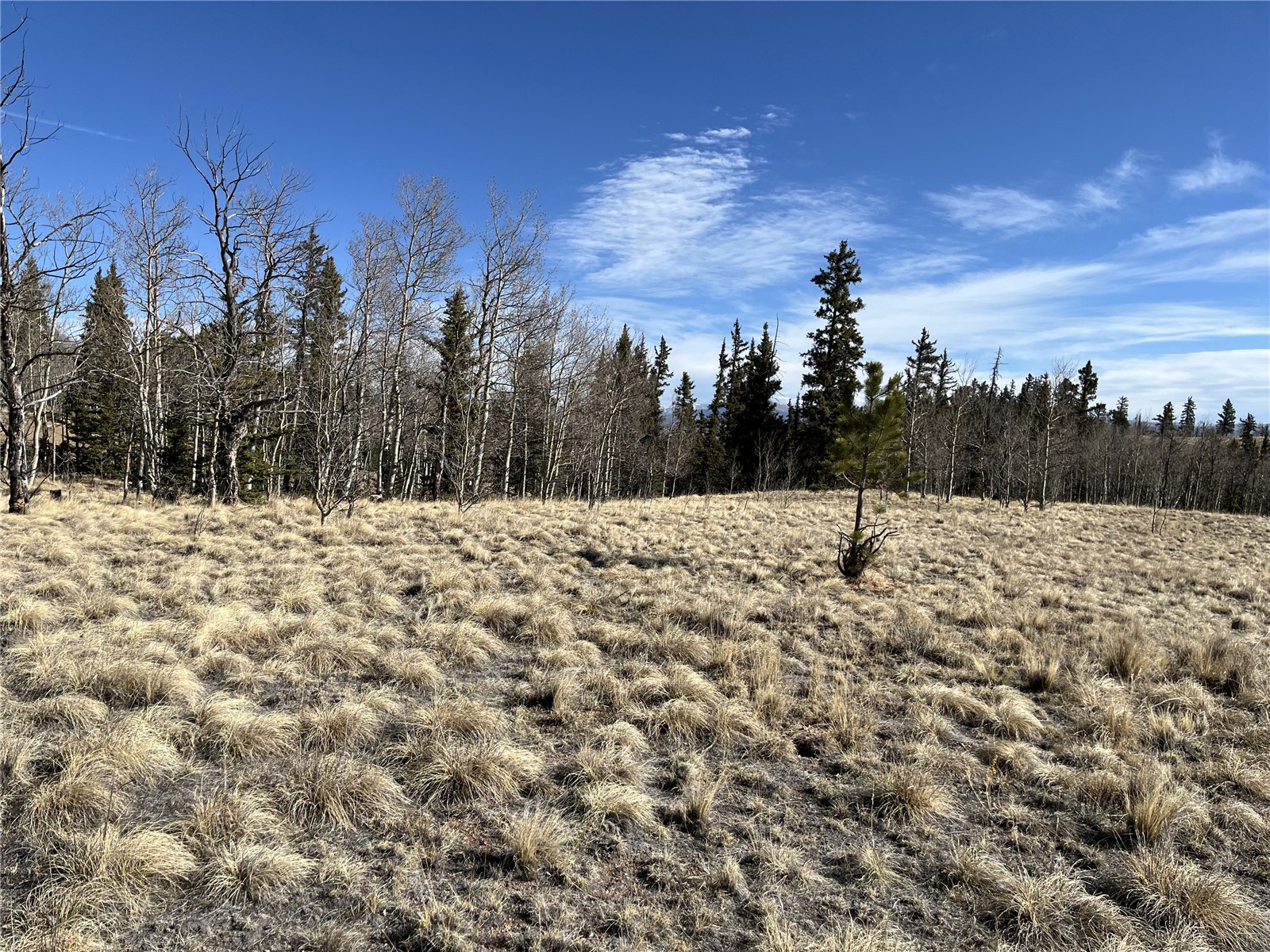 27 Warpath Road Como CO 80432