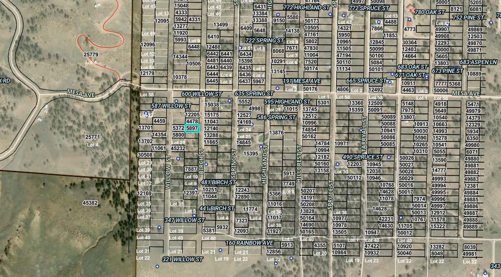 00001 Birch Street Hartsel CO 80449
