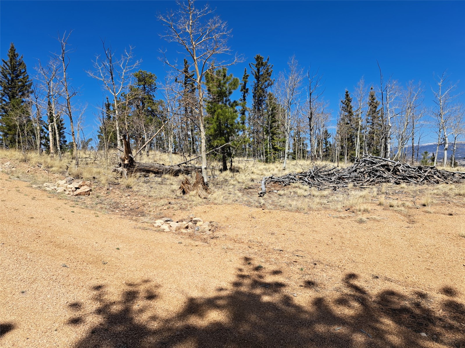 782 Tepee Trail Como CO 80432