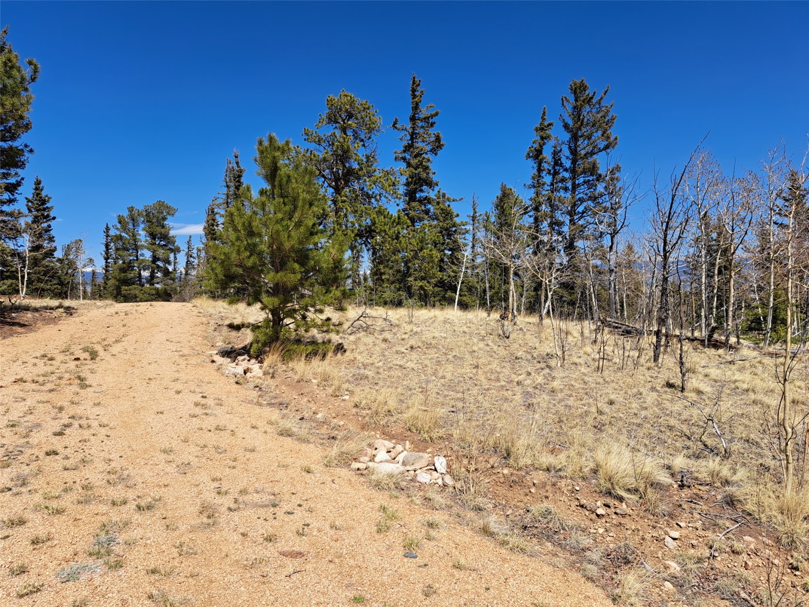 782 Tepee Trail Como CO 80432