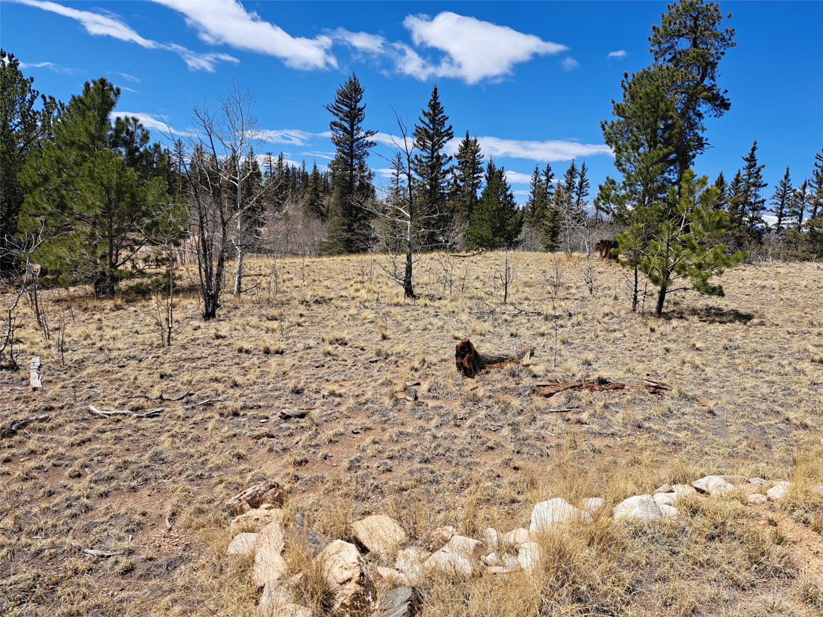 782 Tepee Trail Como CO 80432