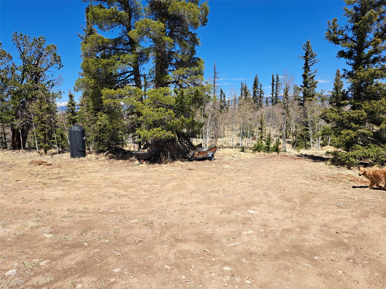 782 Tepee Trail Como CO 80432