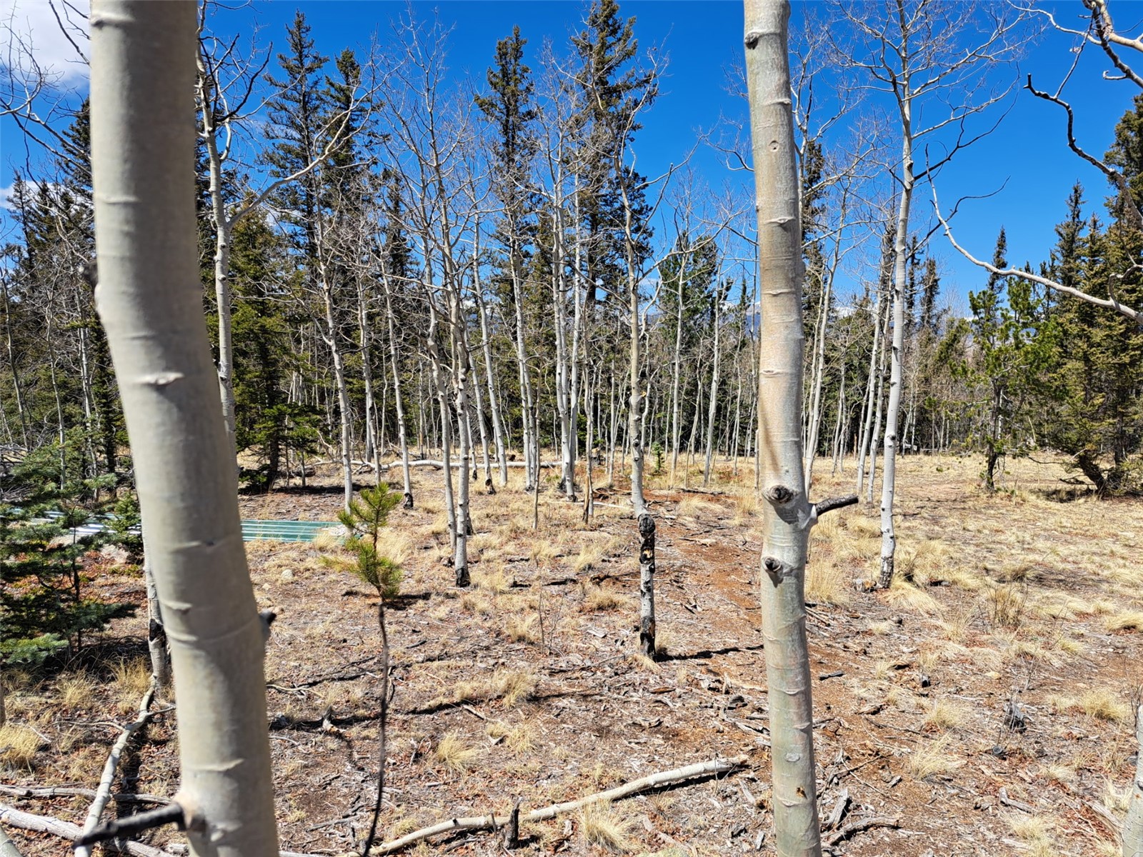 782 Tepee Trail Como CO 80432