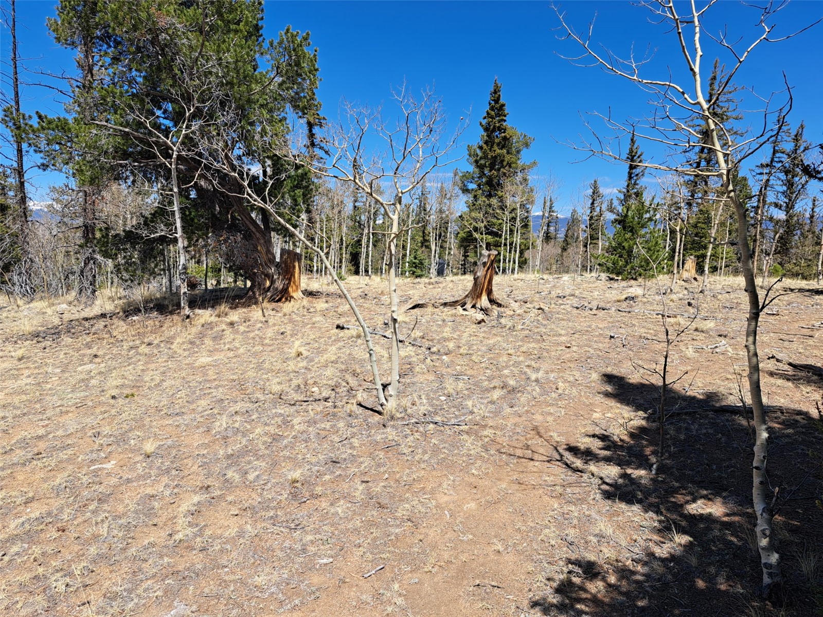 782 Tepee Trail Como CO 80432