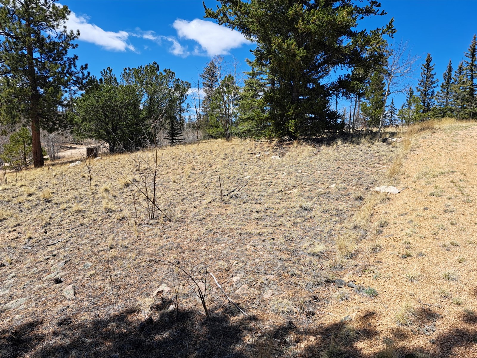 782 Tepee Trail Como CO 80432