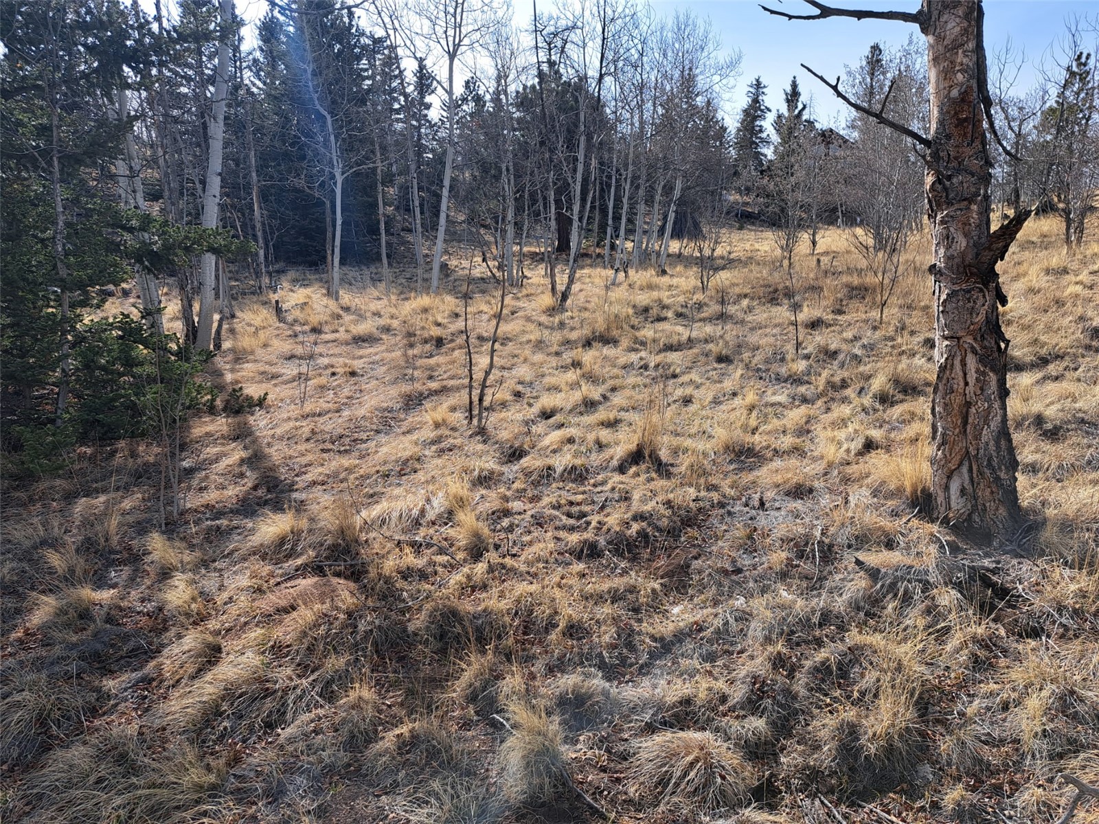 93 Wyandot Way Como CO 80432