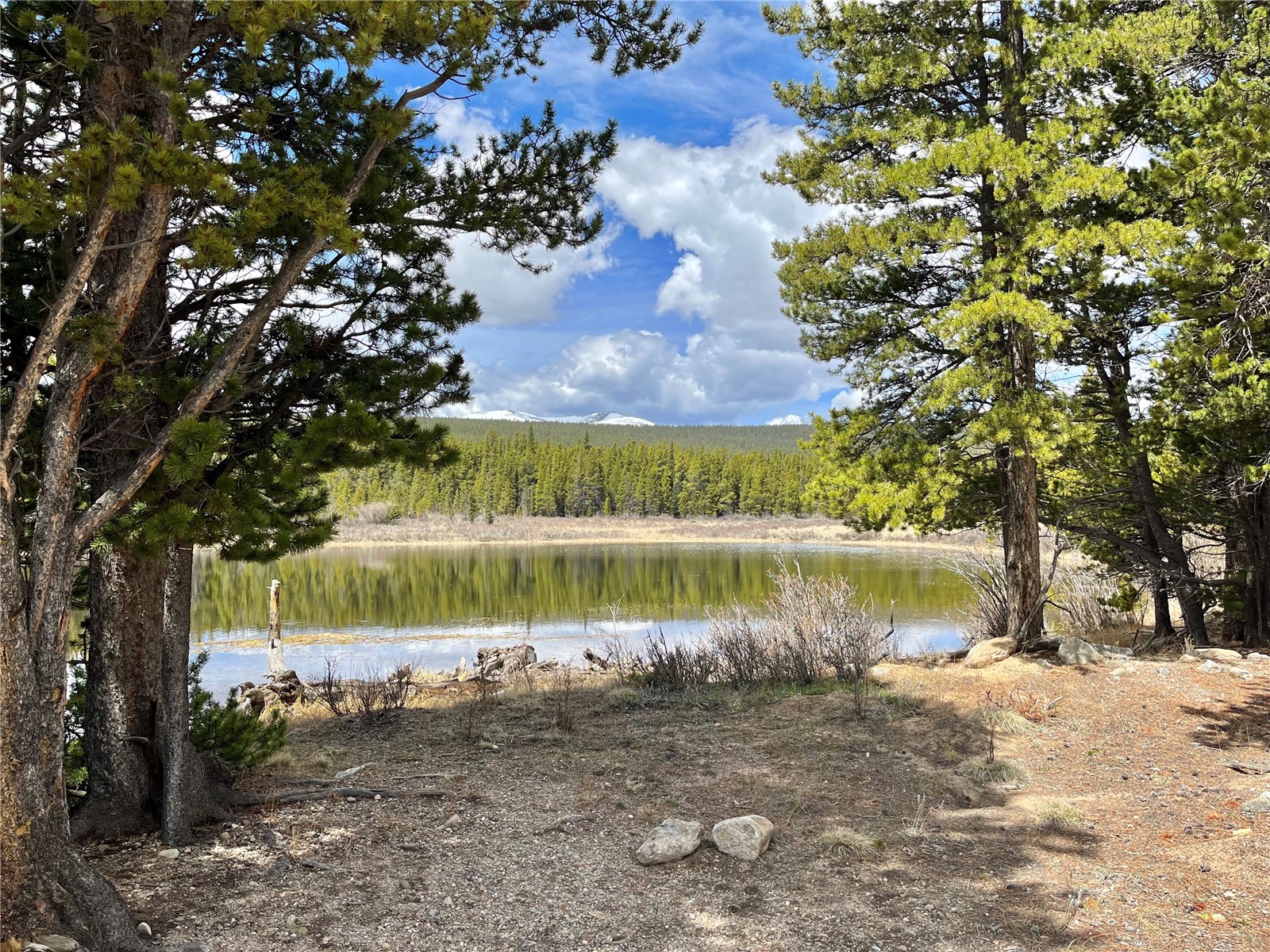 2203 Lakeside Drive Fairplay CO 80440