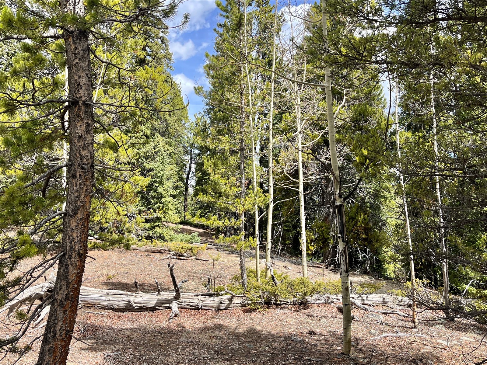 2203 Lakeside Drive Fairplay CO 80440