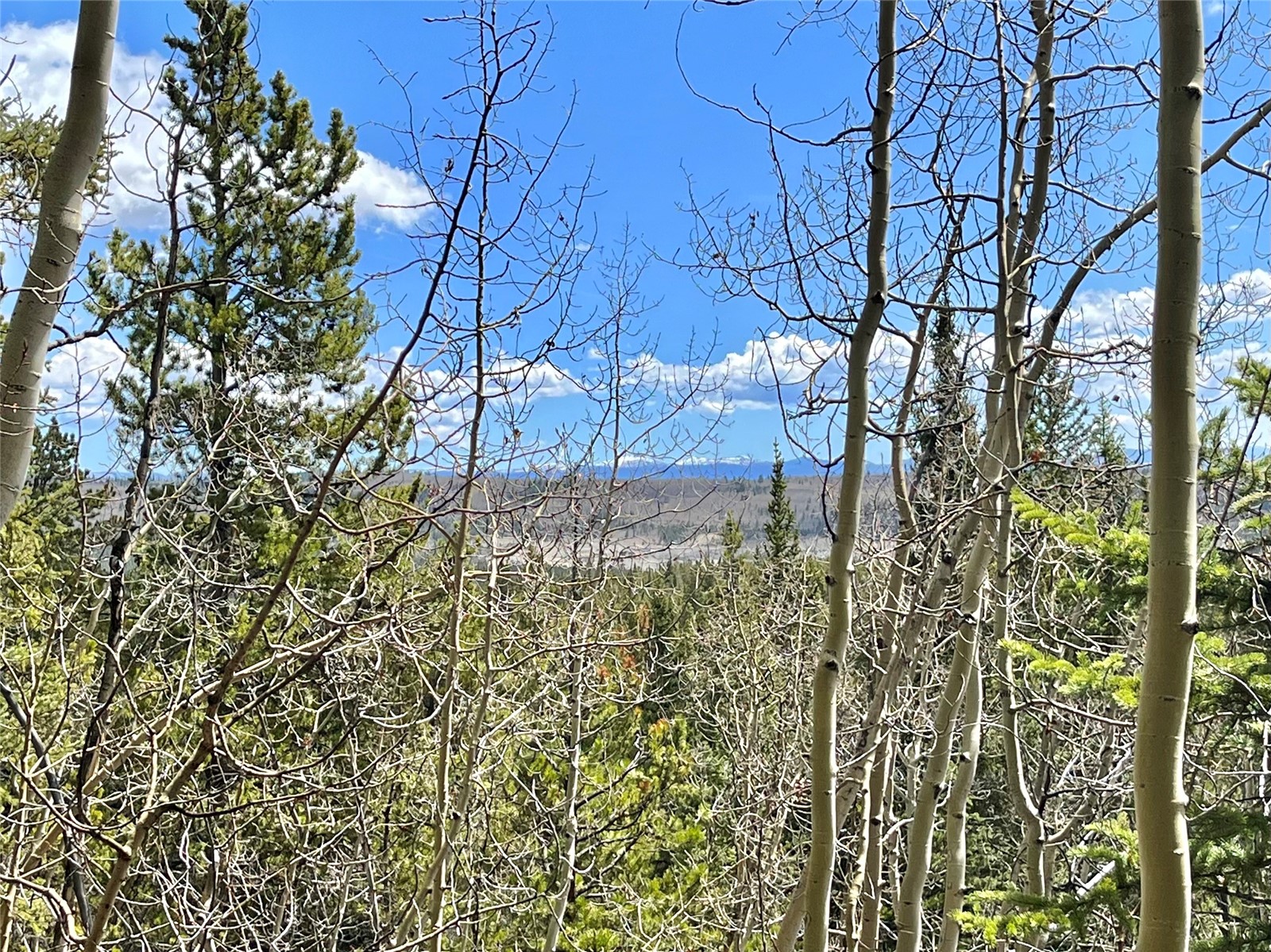 2203 Lakeside Drive Fairplay CO 80440