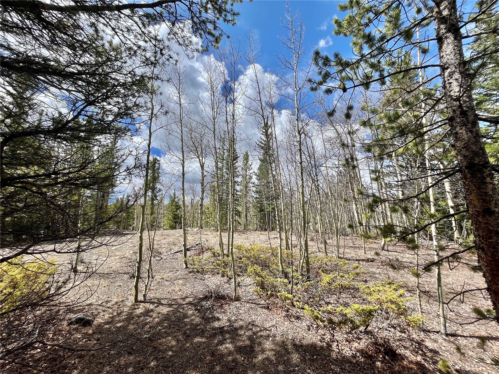 2203 Lakeside Drive Fairplay CO 80440