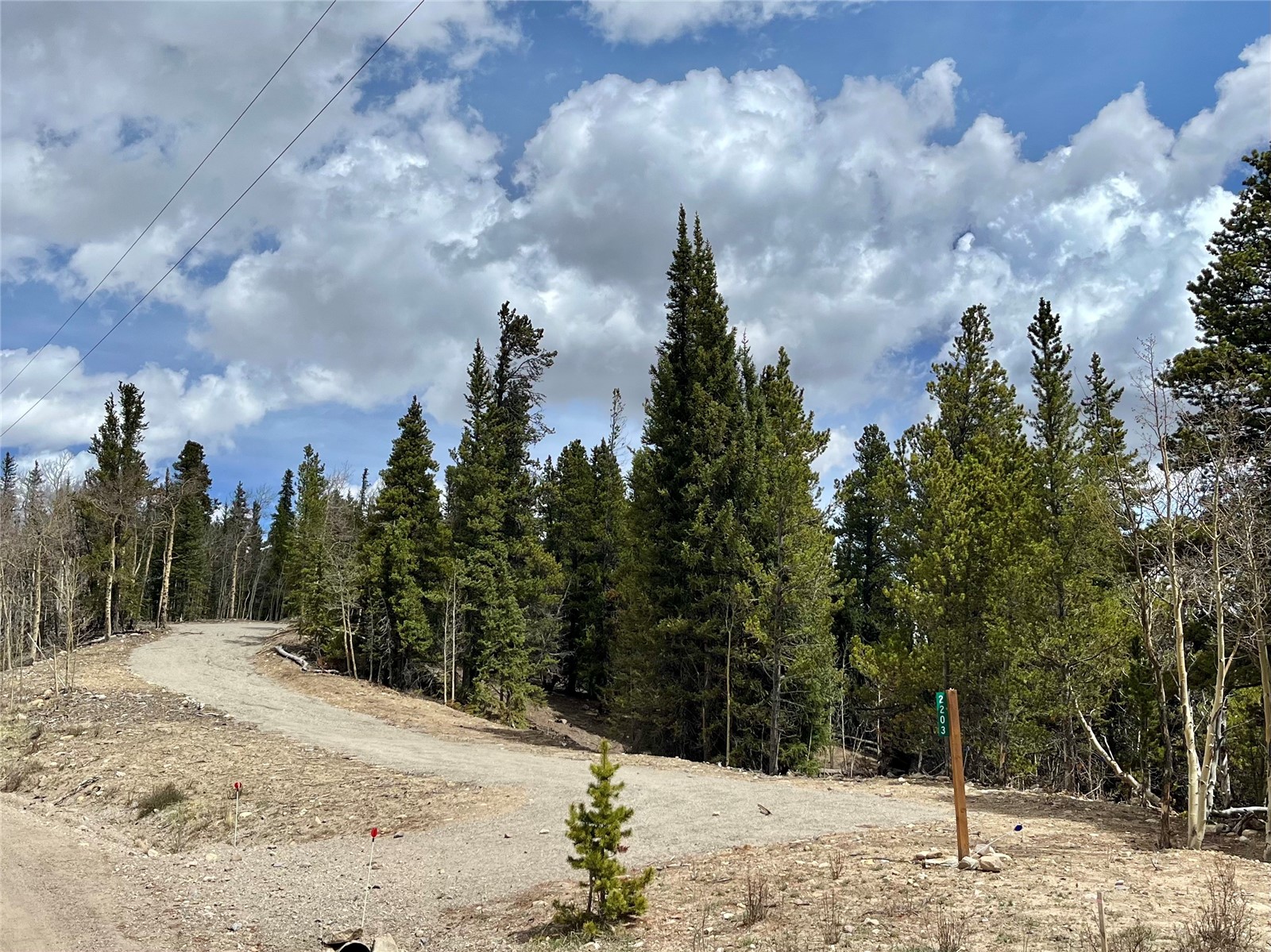 2203 Lakeside Drive Fairplay CO 80440