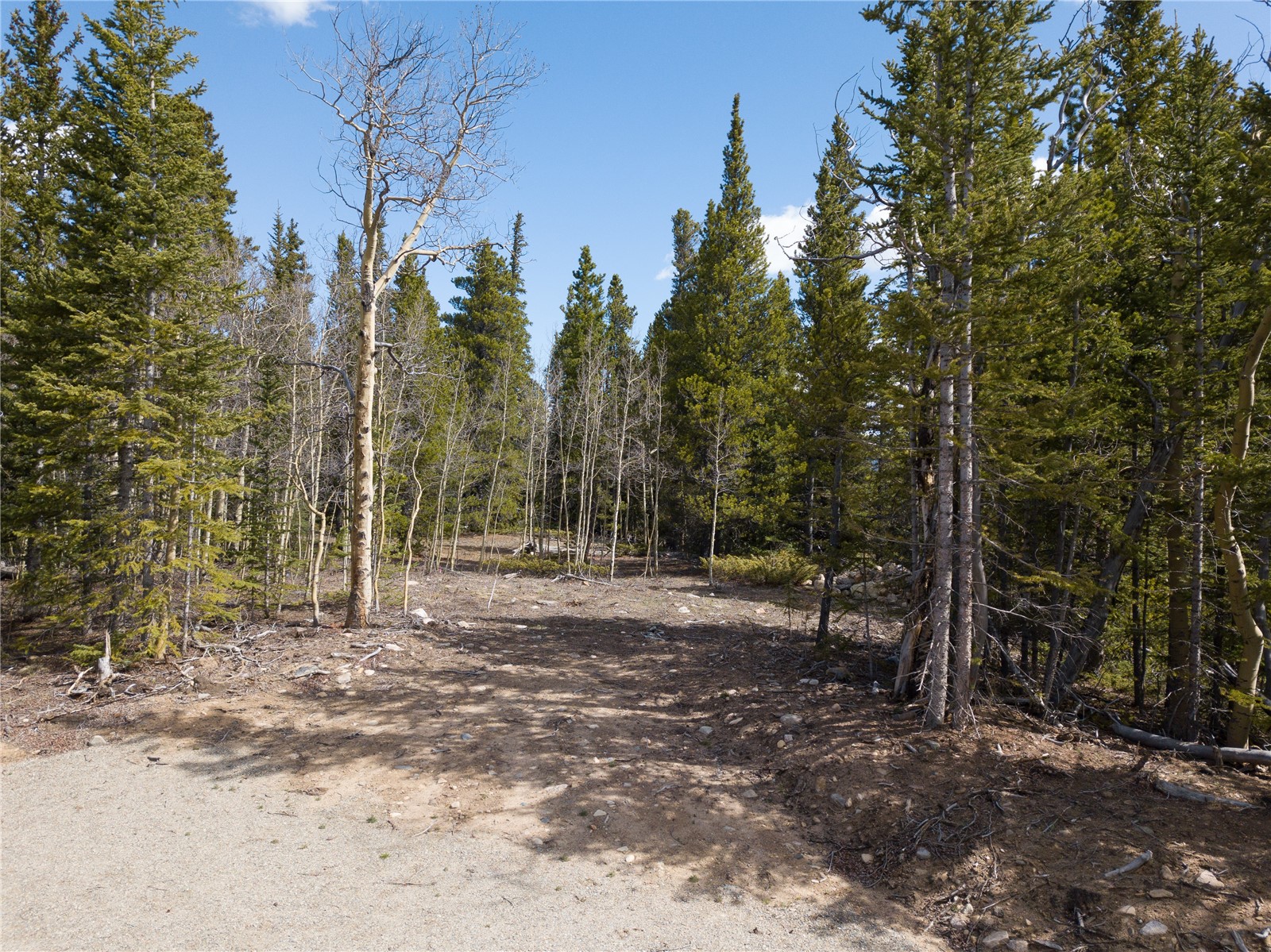 2203 Lakeside Drive Fairplay CO 80440