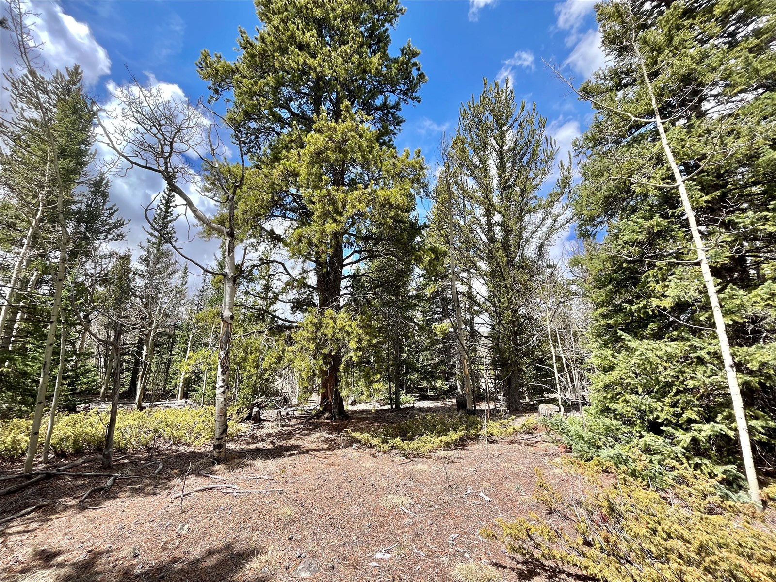 2203 Lakeside Drive Fairplay CO 80440
