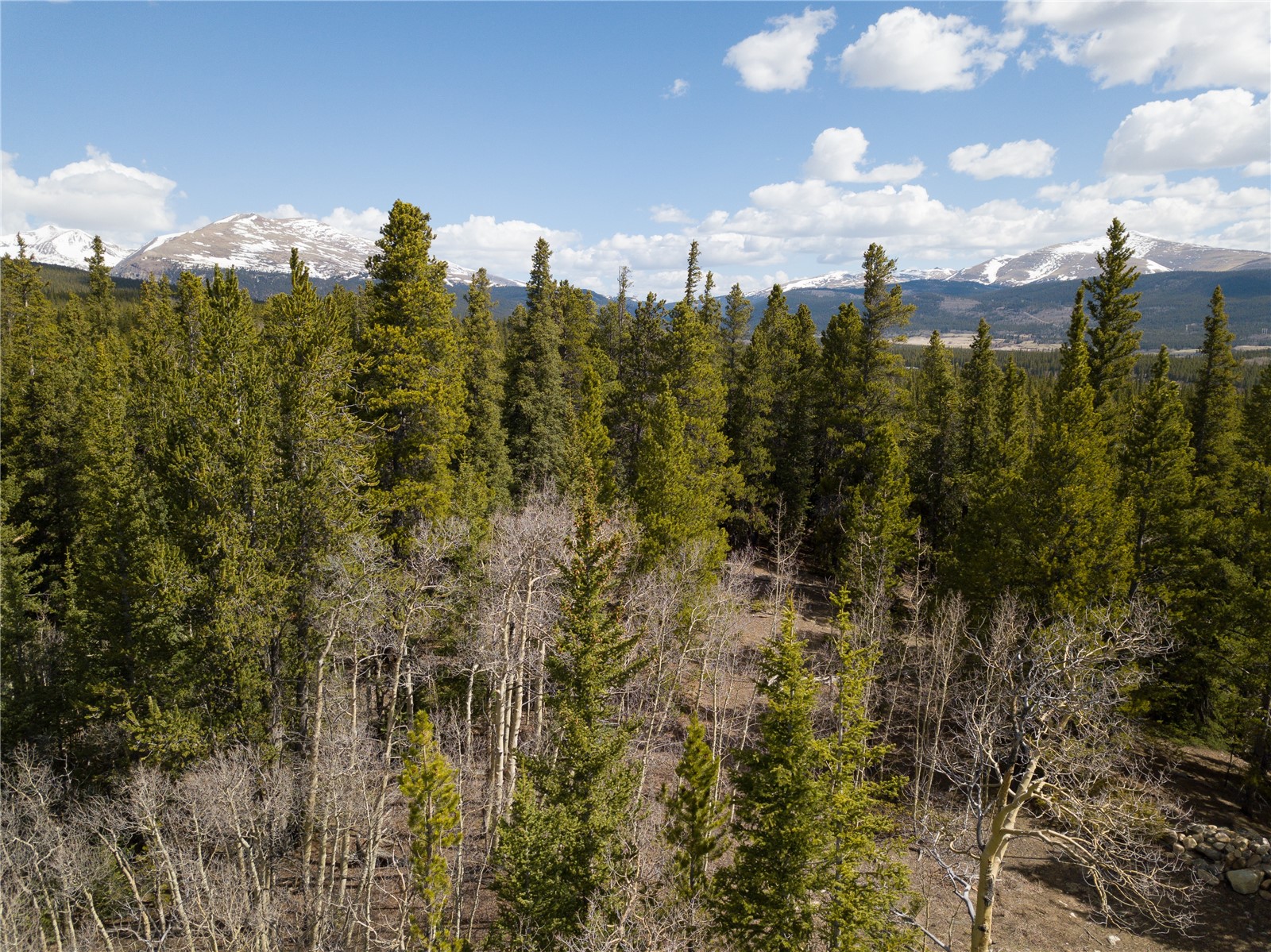 2203 Lakeside Drive Fairplay CO 80440