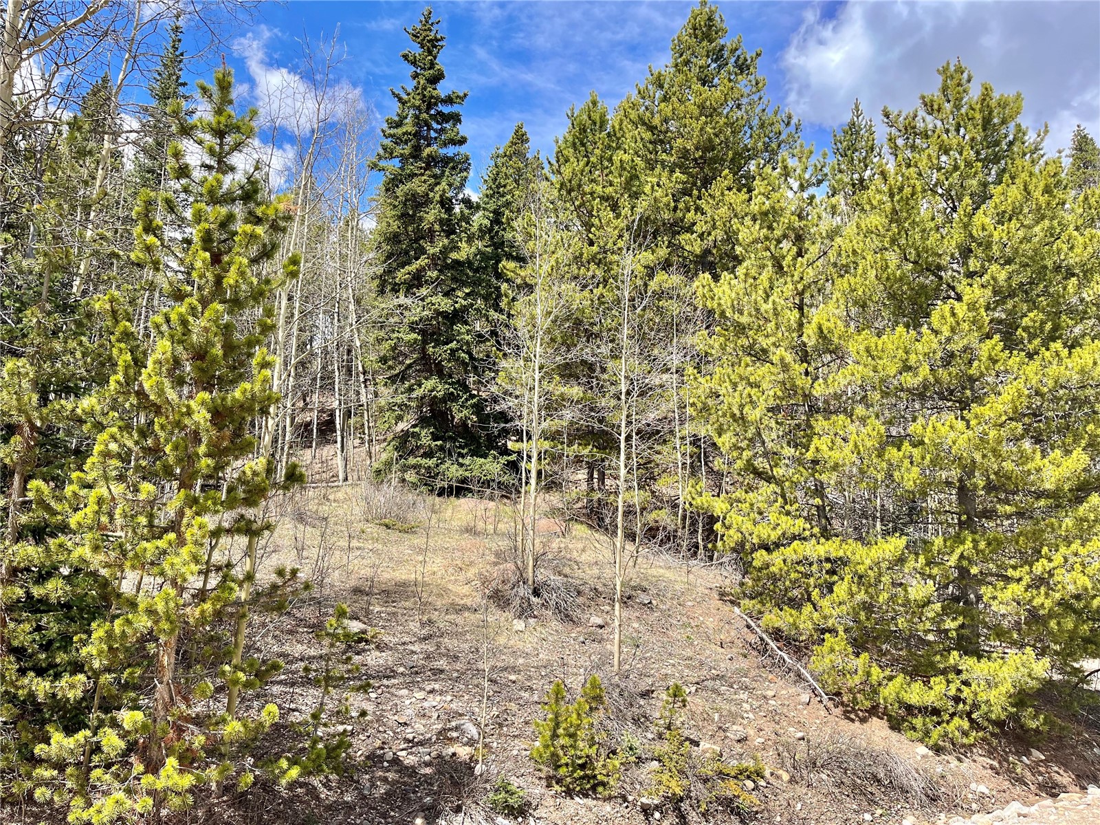 2203 Lakeside Drive Fairplay CO 80440