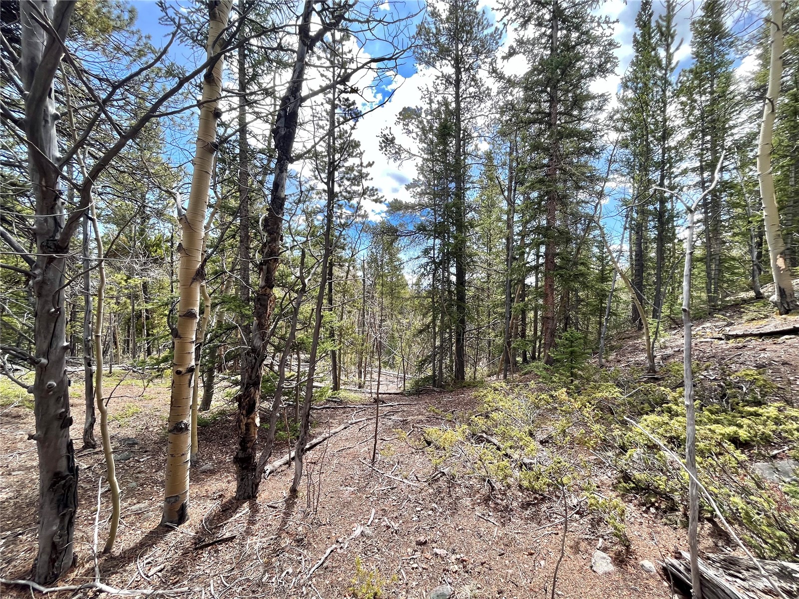 2203 Lakeside Drive Fairplay CO 80440