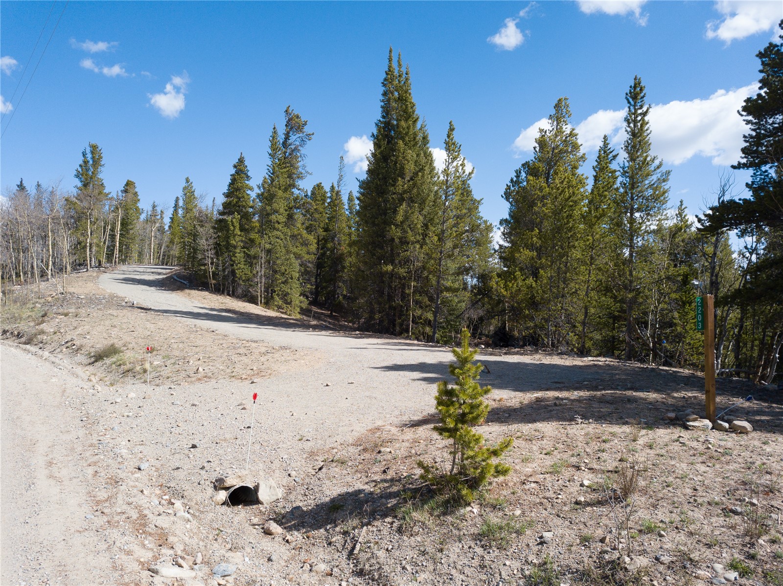 2203 Lakeside Drive Fairplay CO 80440