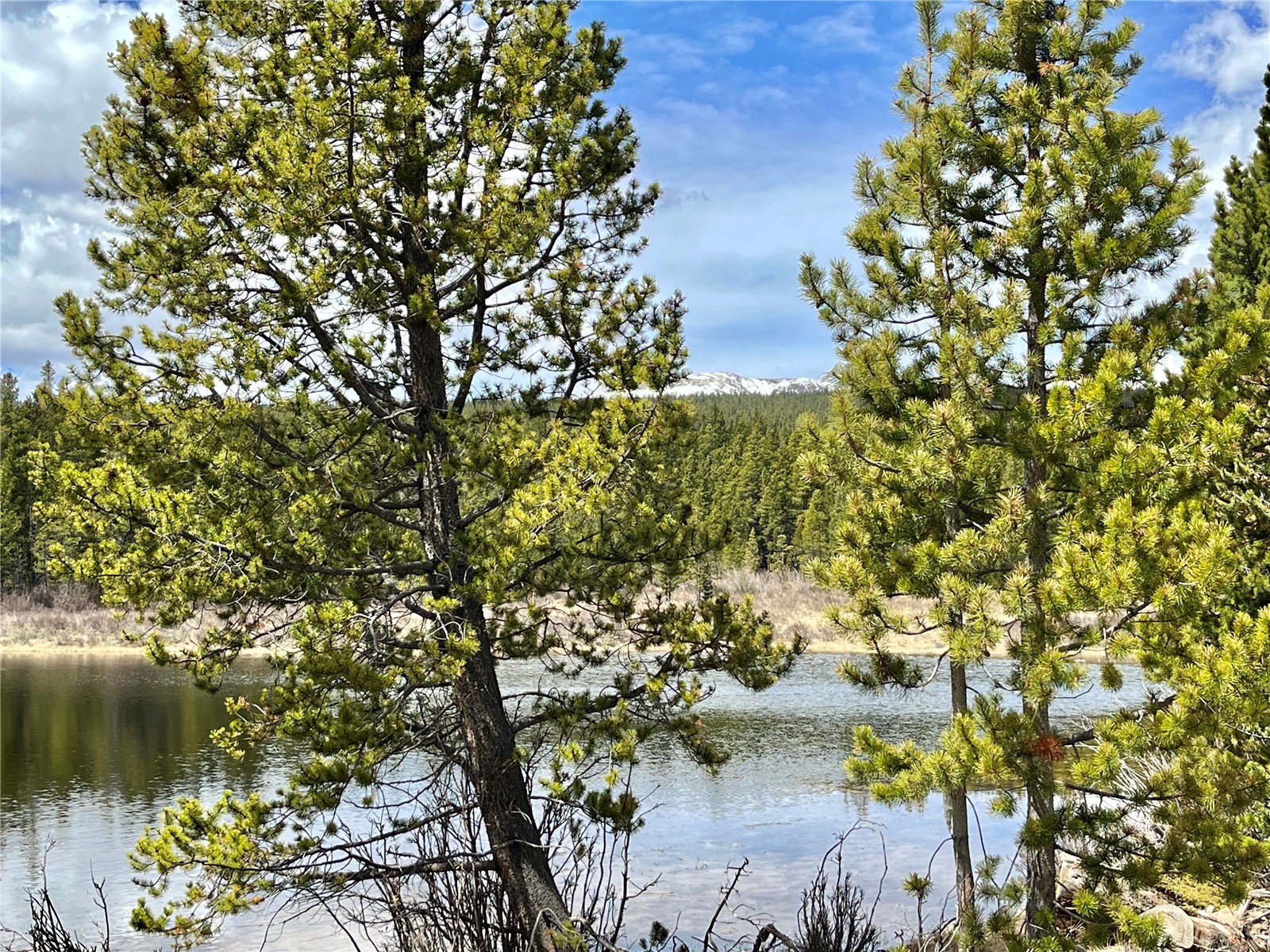 2203 Lakeside Drive Fairplay CO 80440
