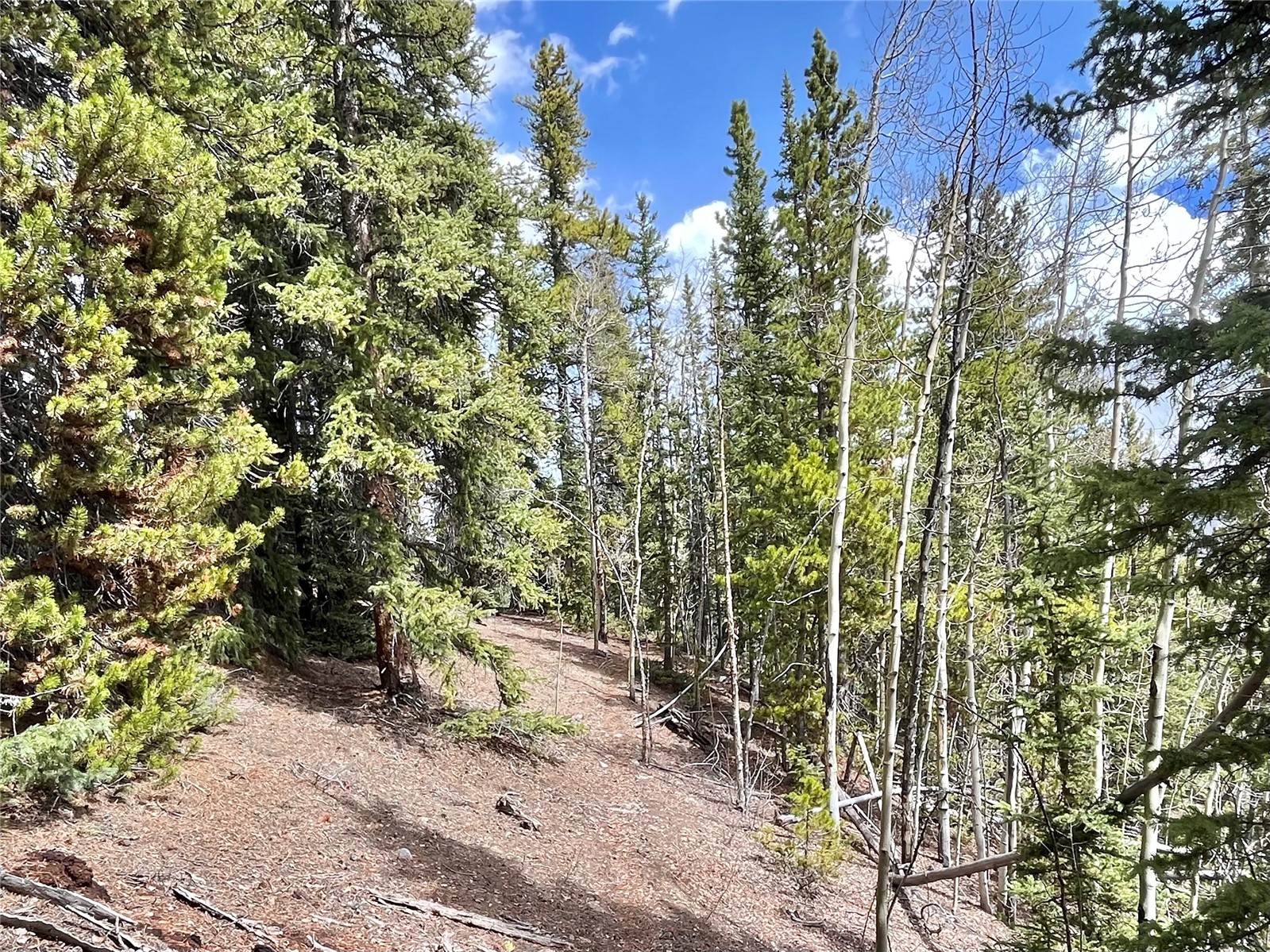 2203 Lakeside Drive Fairplay CO 80440