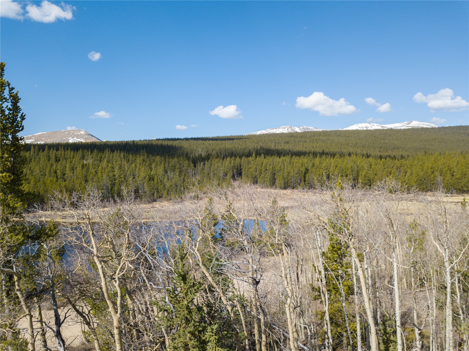 2203 Lakeside Drive Fairplay CO 80440