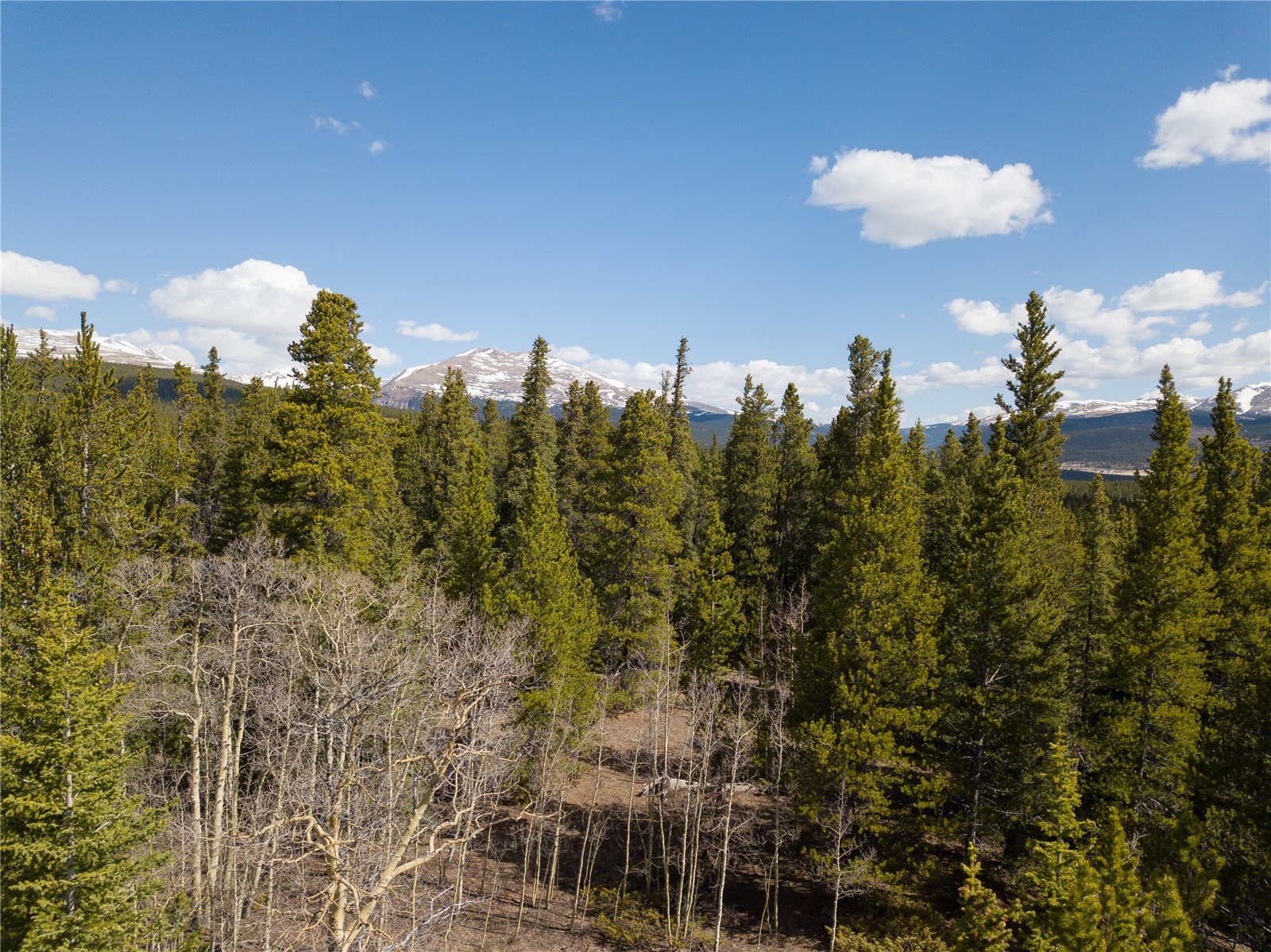 2203 Lakeside Drive Fairplay CO 80440