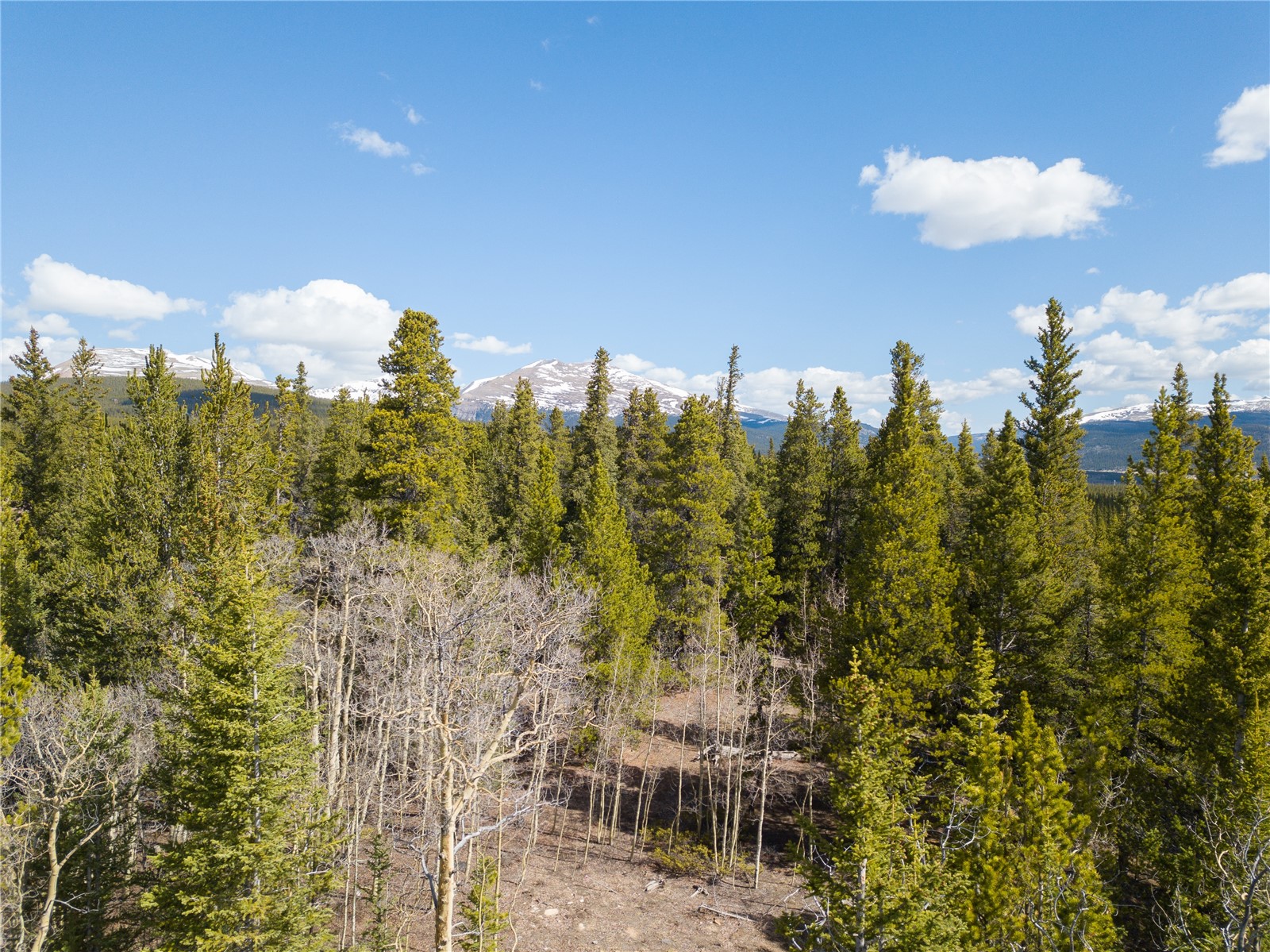 2203 Lakeside Drive Fairplay CO 80440