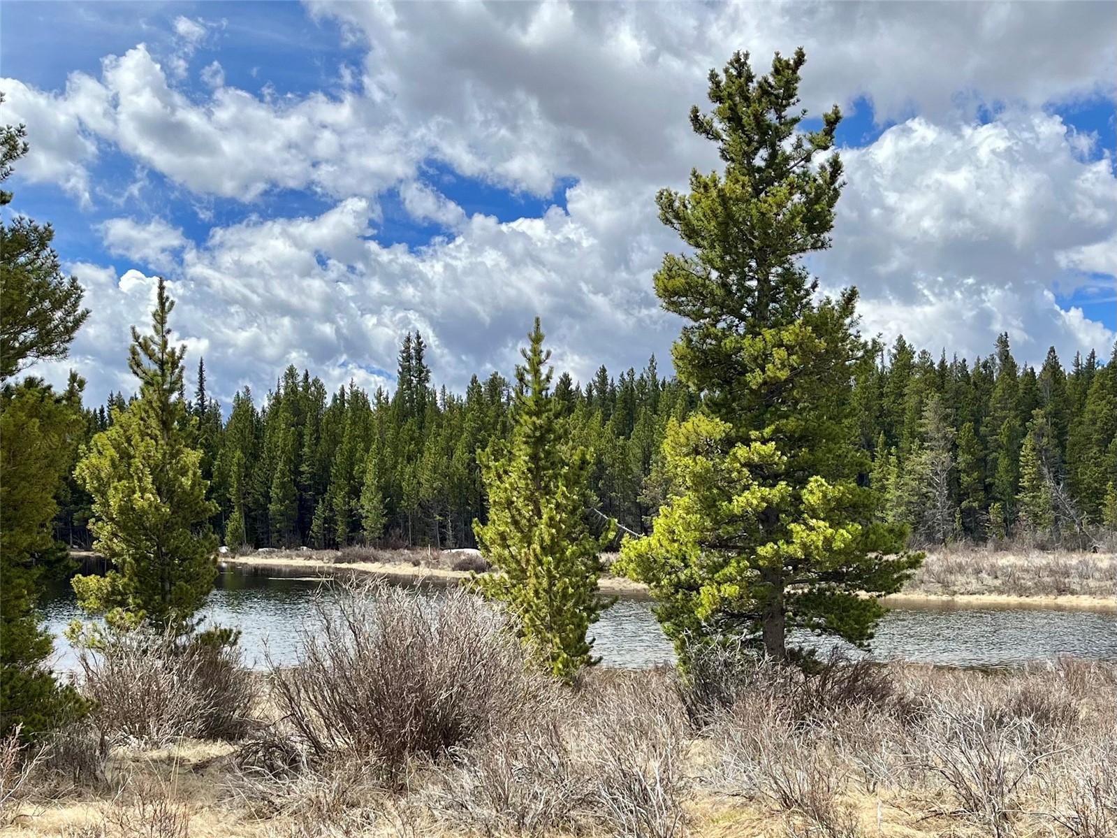 2203 Lakeside Drive Fairplay CO 80440