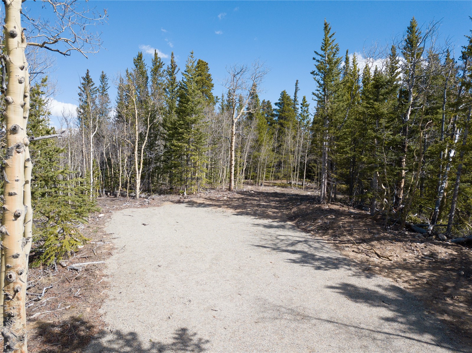 2203 Lakeside Drive Fairplay CO 80440
