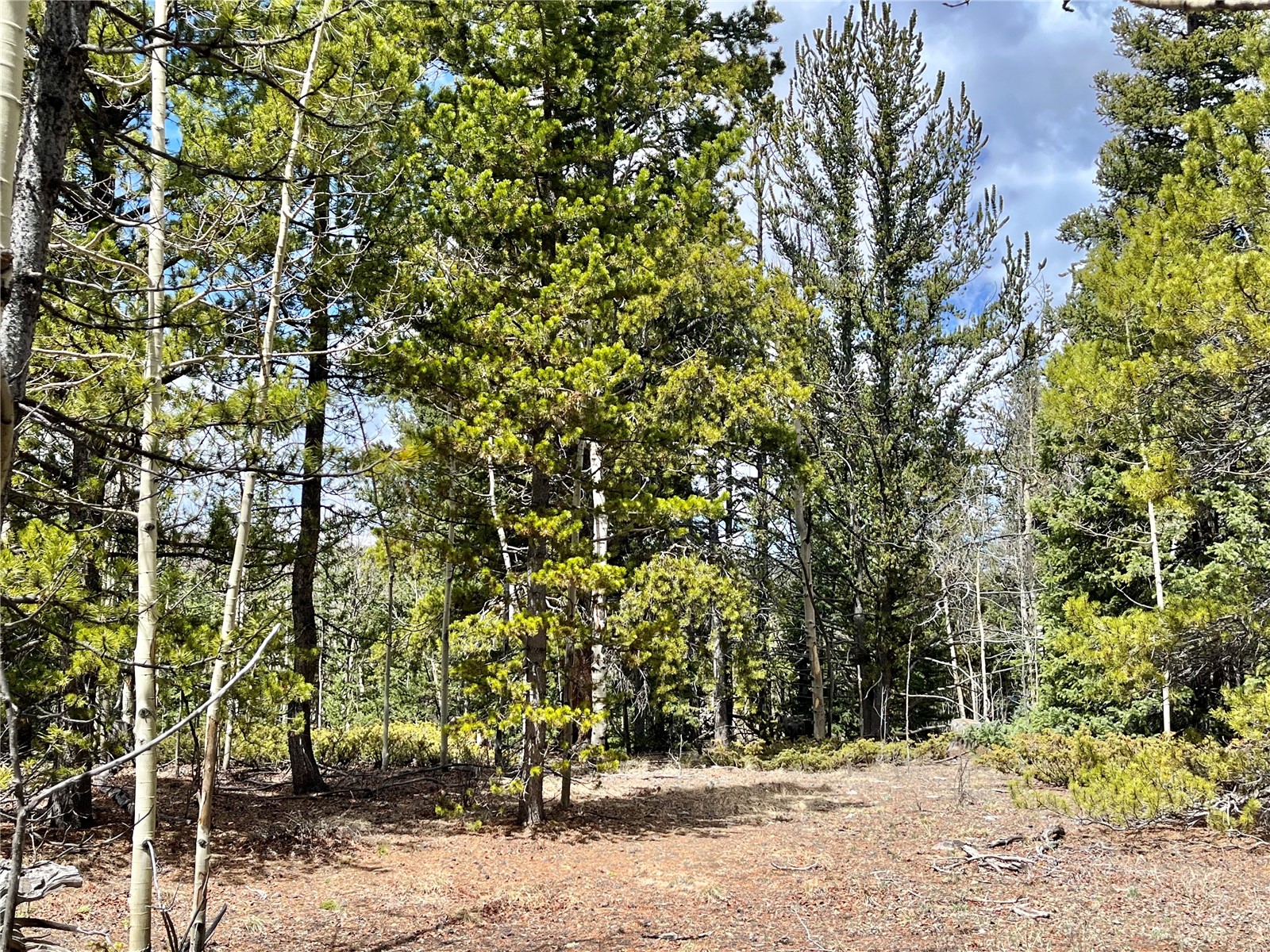 2203 Lakeside Drive Fairplay CO 80440
