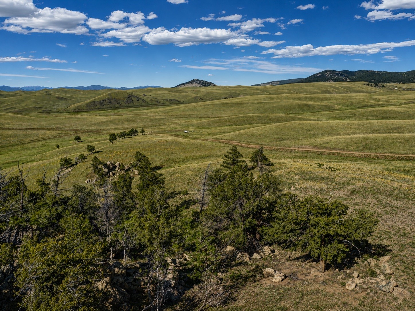 2171 Watonga Road Hartsel CO 80449