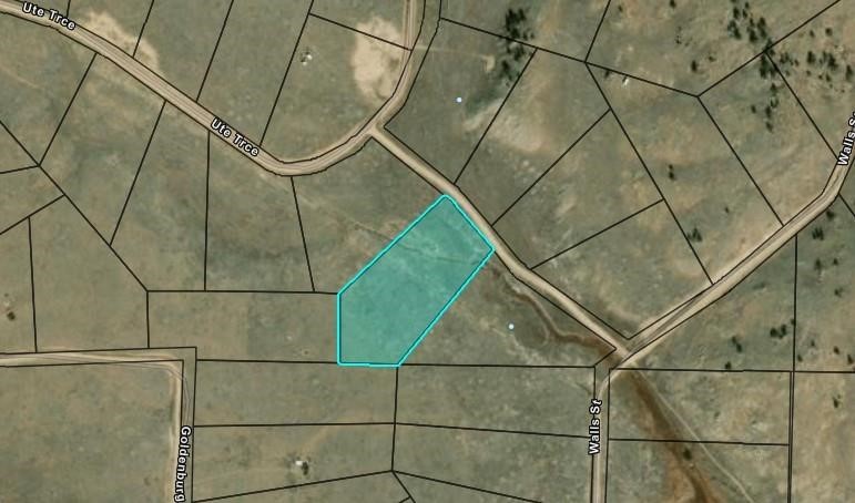 114 Walls Street Hartsel CO 80449