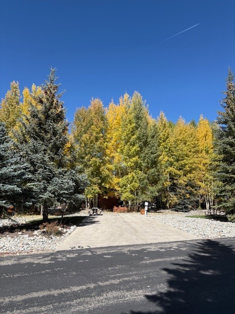 85 Revett #261 Drive Breckenridge CO 80424