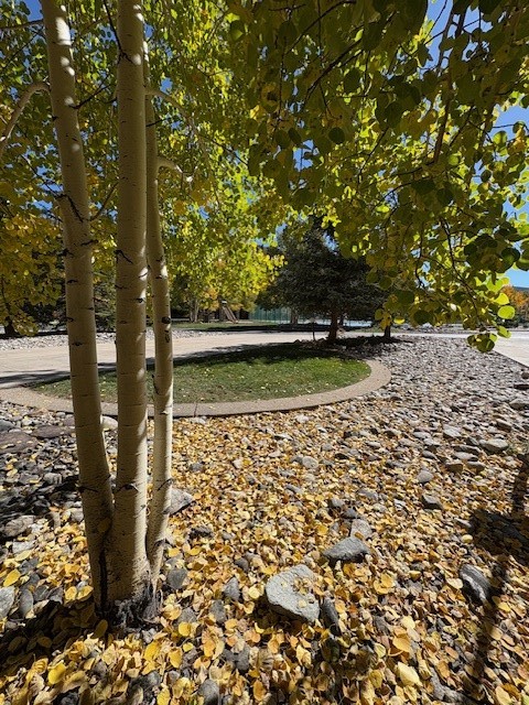 85 Revett #261 Drive Breckenridge CO 80424