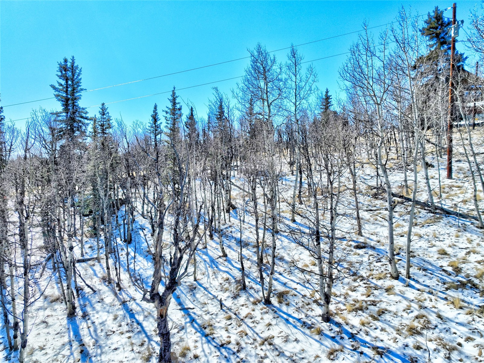 445 Warpath Road Como CO 80432