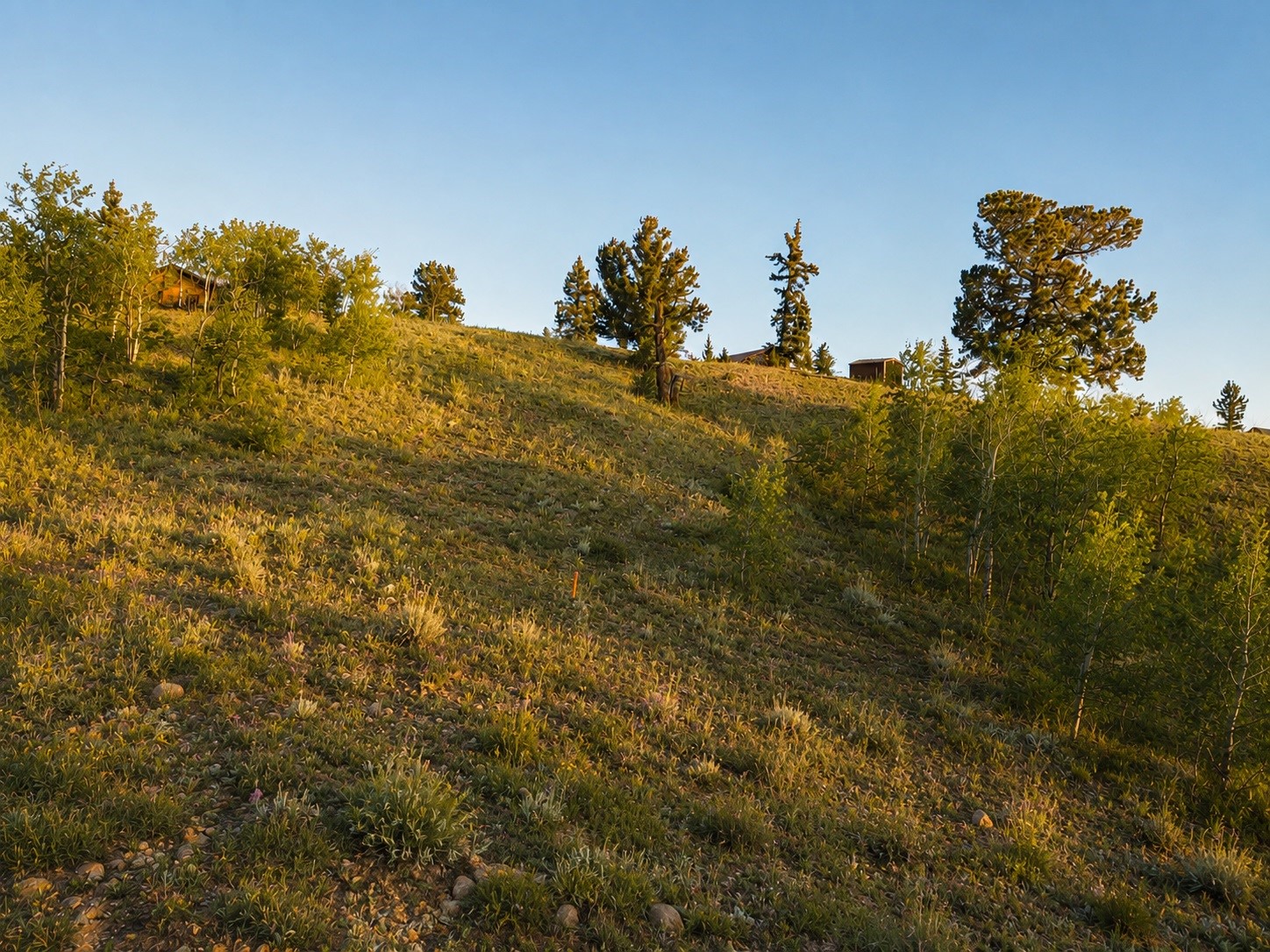 445 Warpath Road Como CO 80432