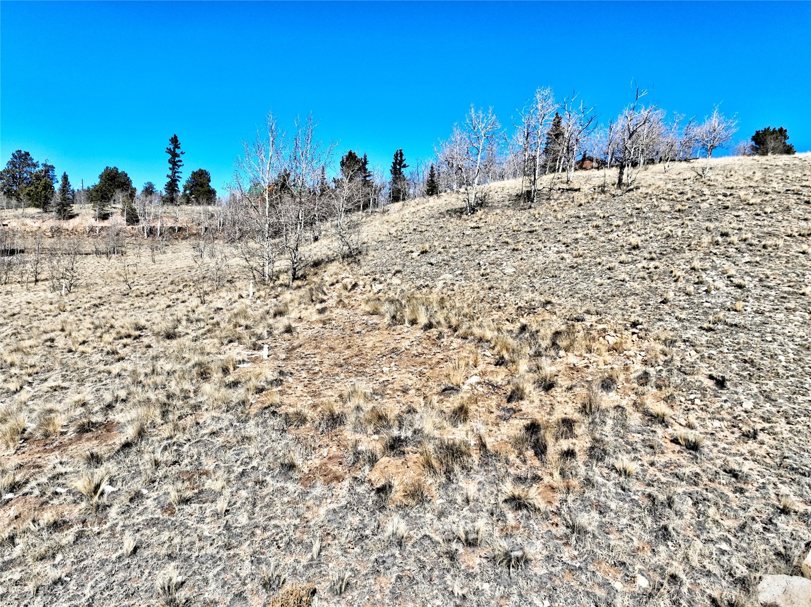 445 Warpath Road Como CO 80432