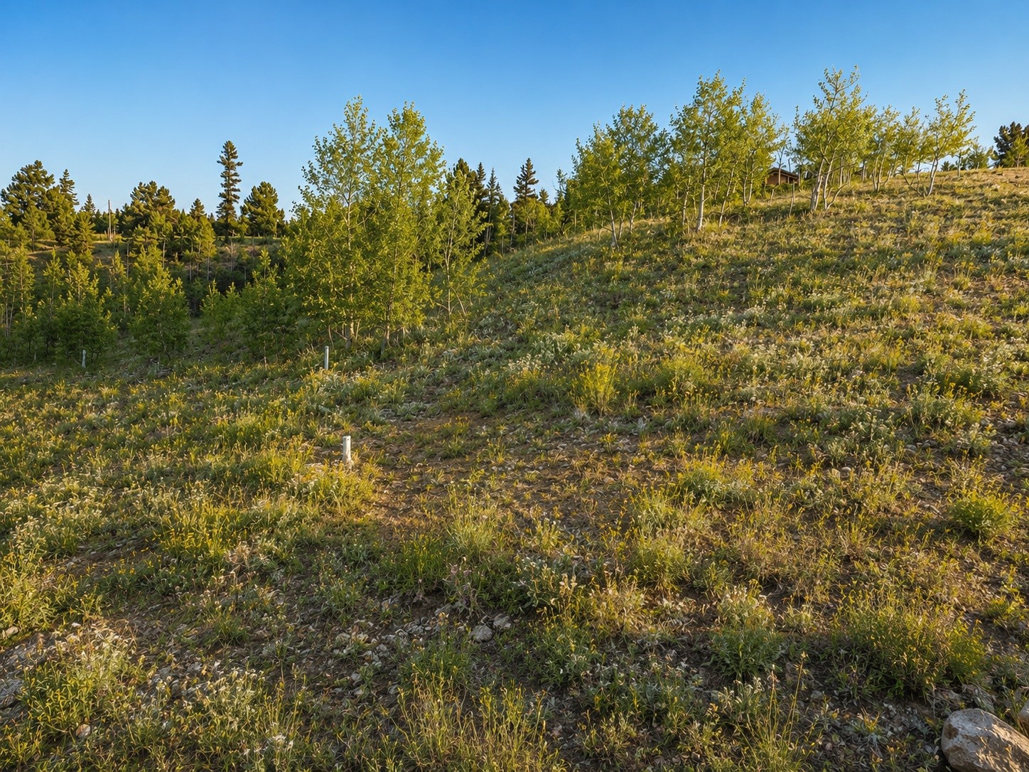 445 Warpath Road Como CO 80432
