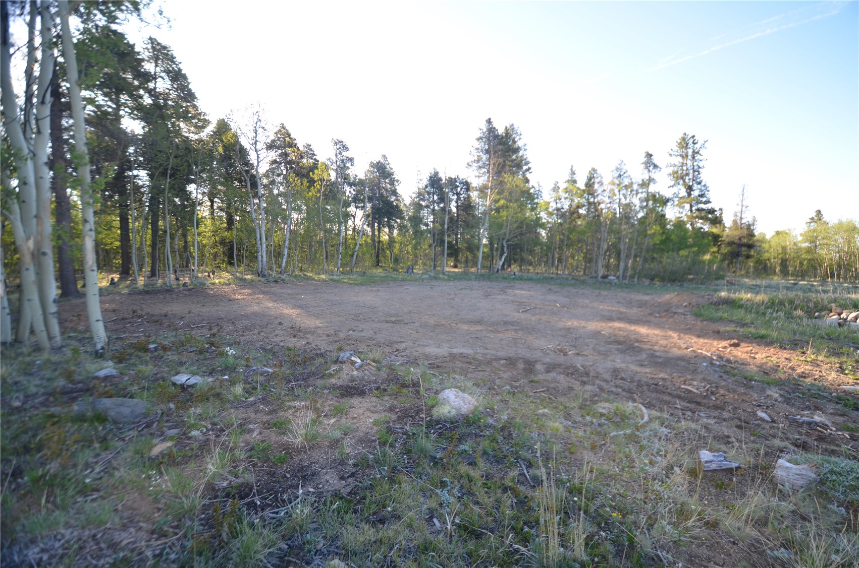 484 Wheat Way Fairplay CO 80440