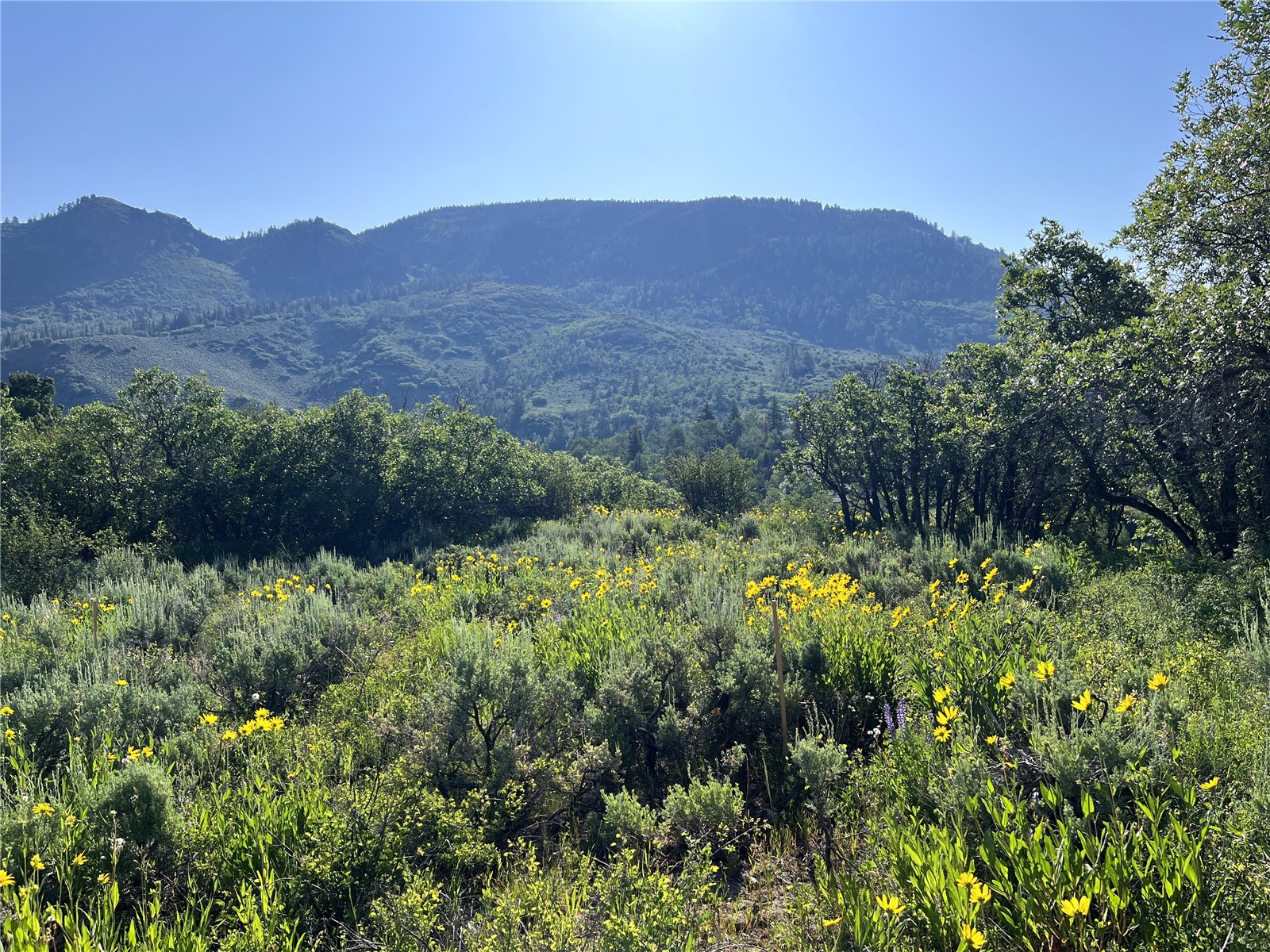 31175 Broken Talon Trail Oak Creek CO 80467