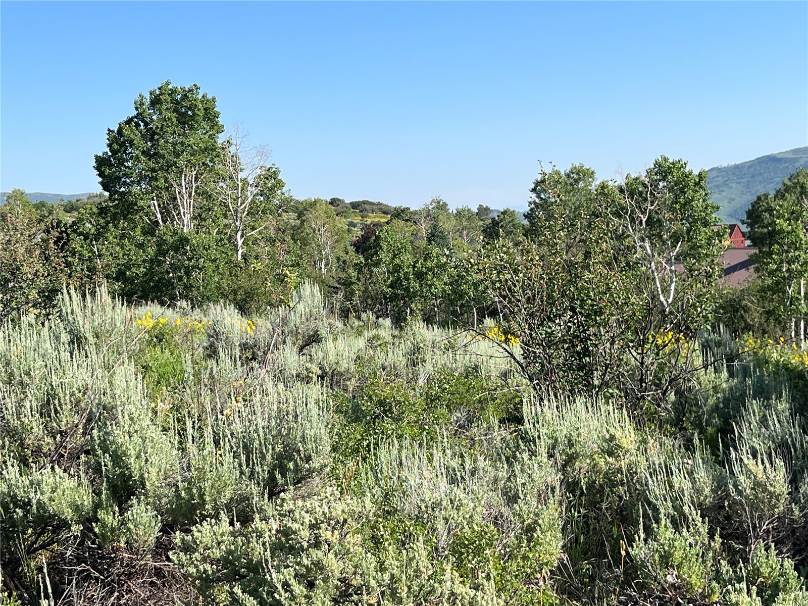 31175 Broken Talon Trail Oak Creek CO 80467