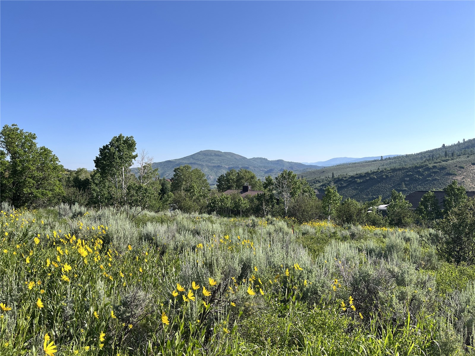 31175 Broken Talon Trail Oak Creek CO 80467