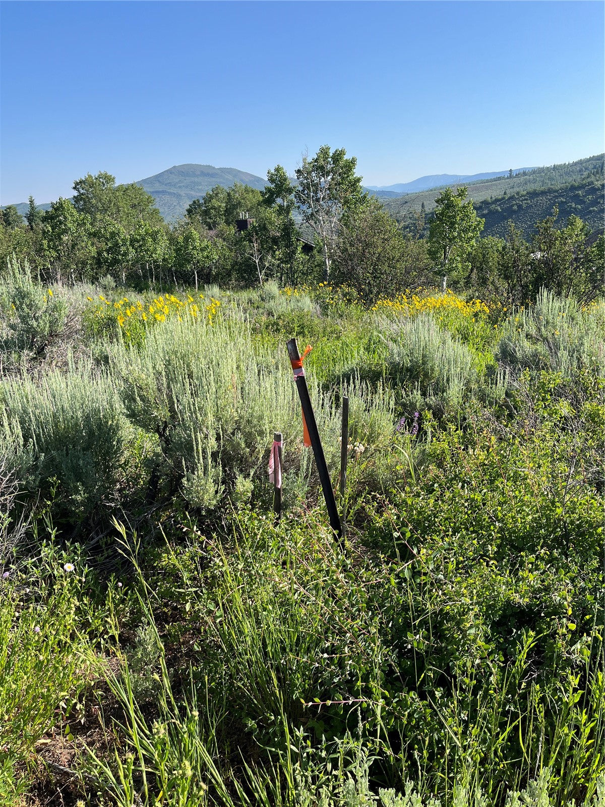 31175 Broken Talon Trail Oak Creek CO 80467