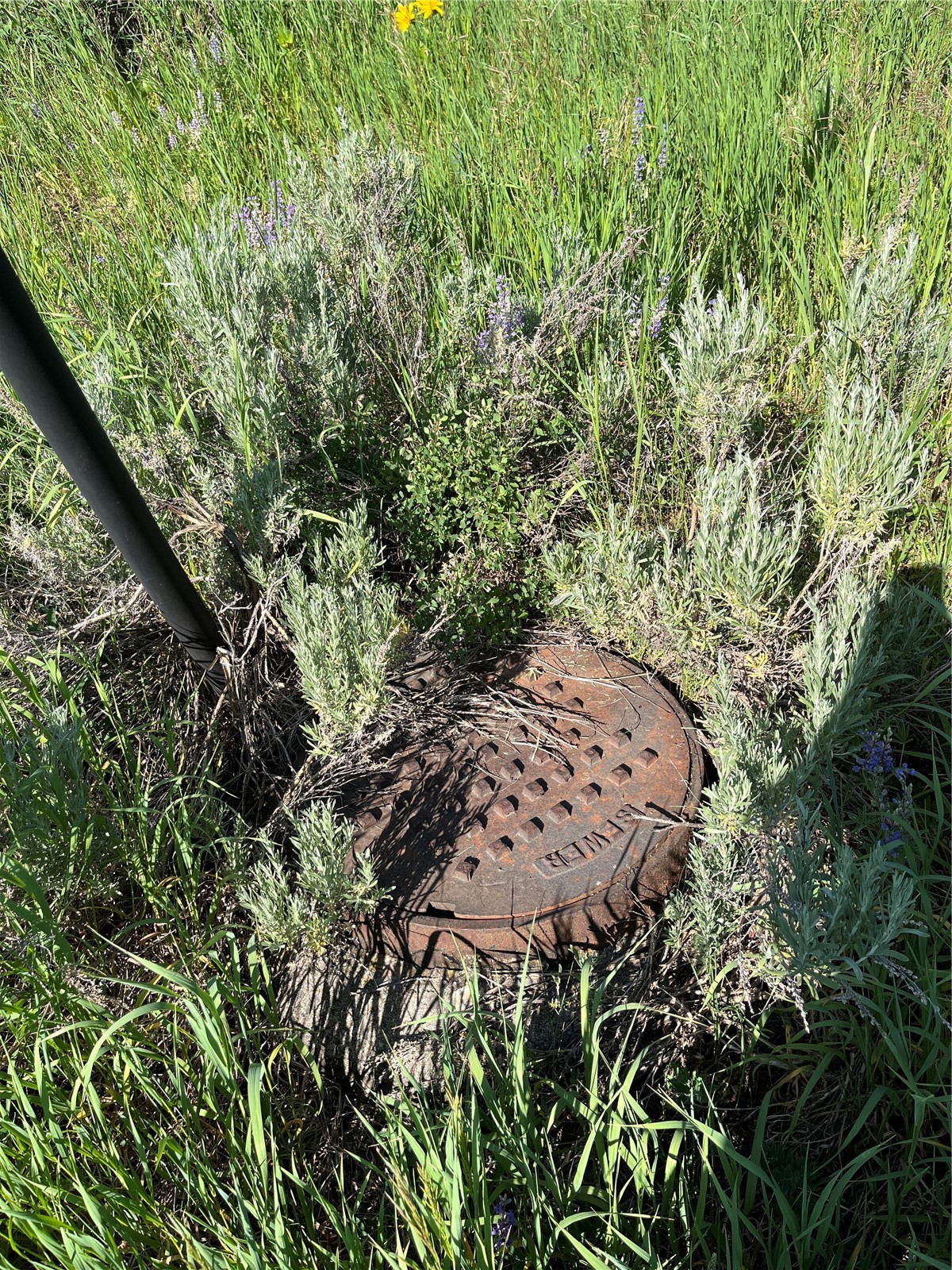 31175 Broken Talon Trail Oak Creek CO 80467