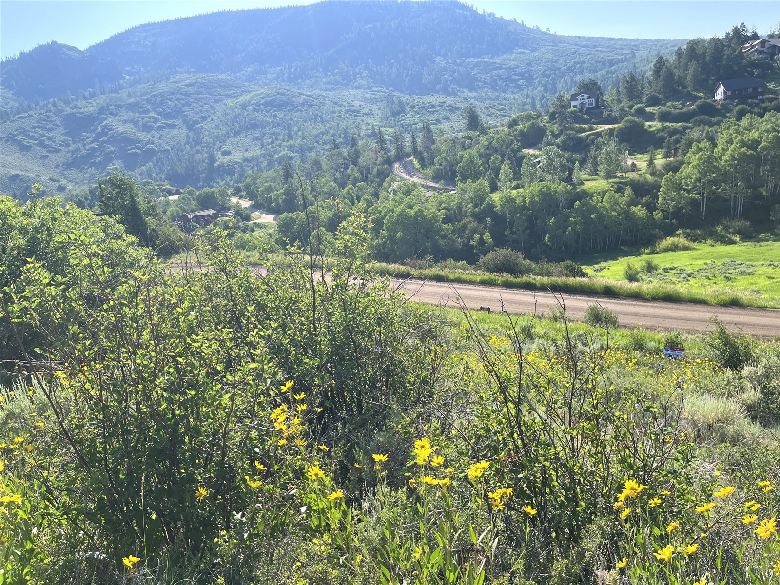 31175 Broken Talon Trail Oak Creek CO 80467